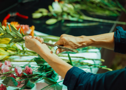 Hände schneiden Blumen Thumbnail